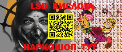 spice Кимры