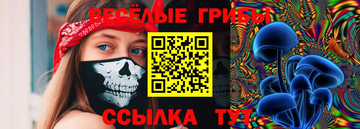 Псилоцибиновые грибы мухоморы Химки