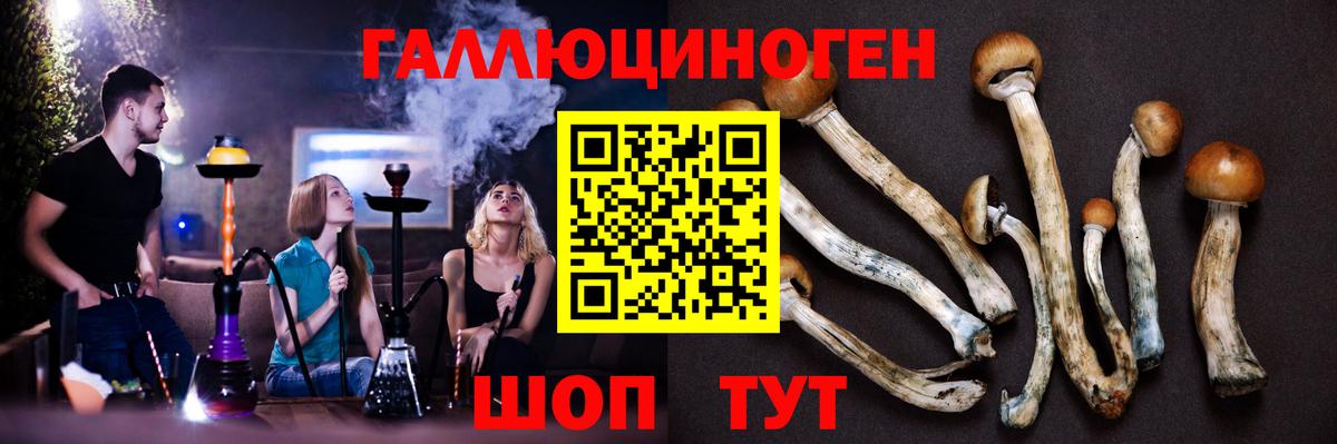 Химки  Псилоцибиновые грибы мицелий  Вход с VPN 